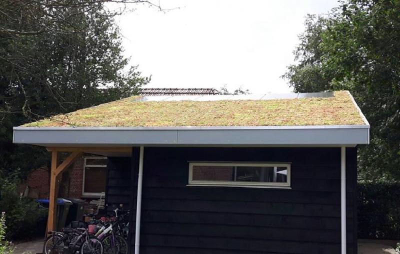 Echt groen dak, Garmerwolde